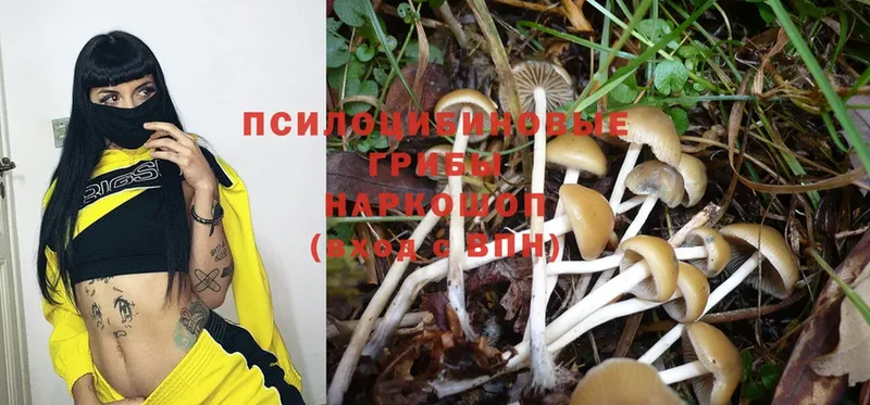 Псилоцибиновые грибы MAGIC MUSHROOMS Бутурлиновка